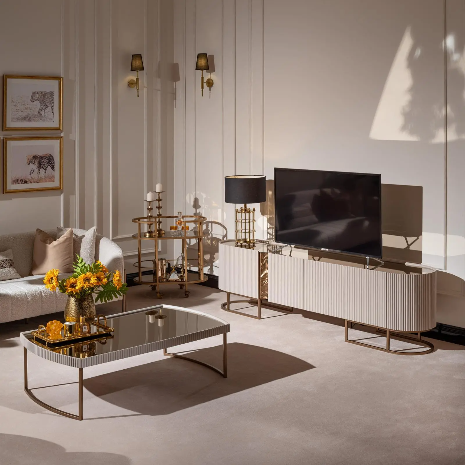 Lyon tv unit