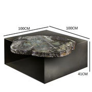 Antarticos coffee table