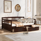 Astounding Design Modern Minimalist Wooden Frame Sofa-Bed